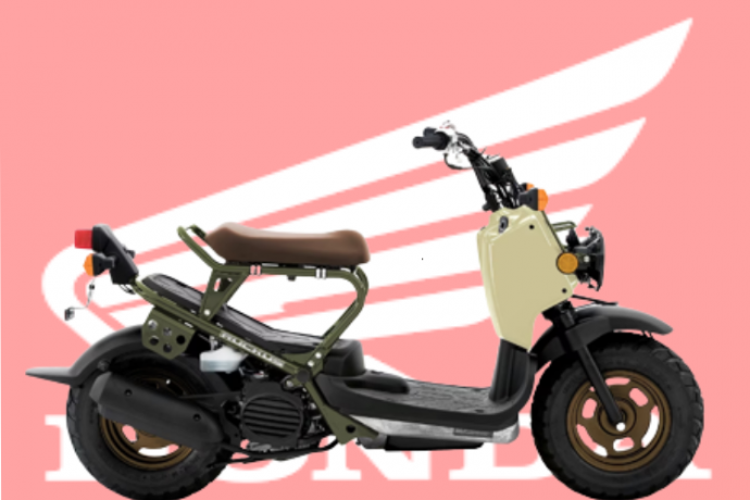 Scooter Honda Ruckus 2024