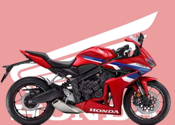 Honda CBR650R 2024 en vente à Montréal Mecamoto