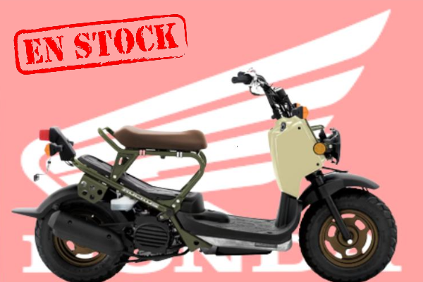 Scooter Honda Ruckus 2024