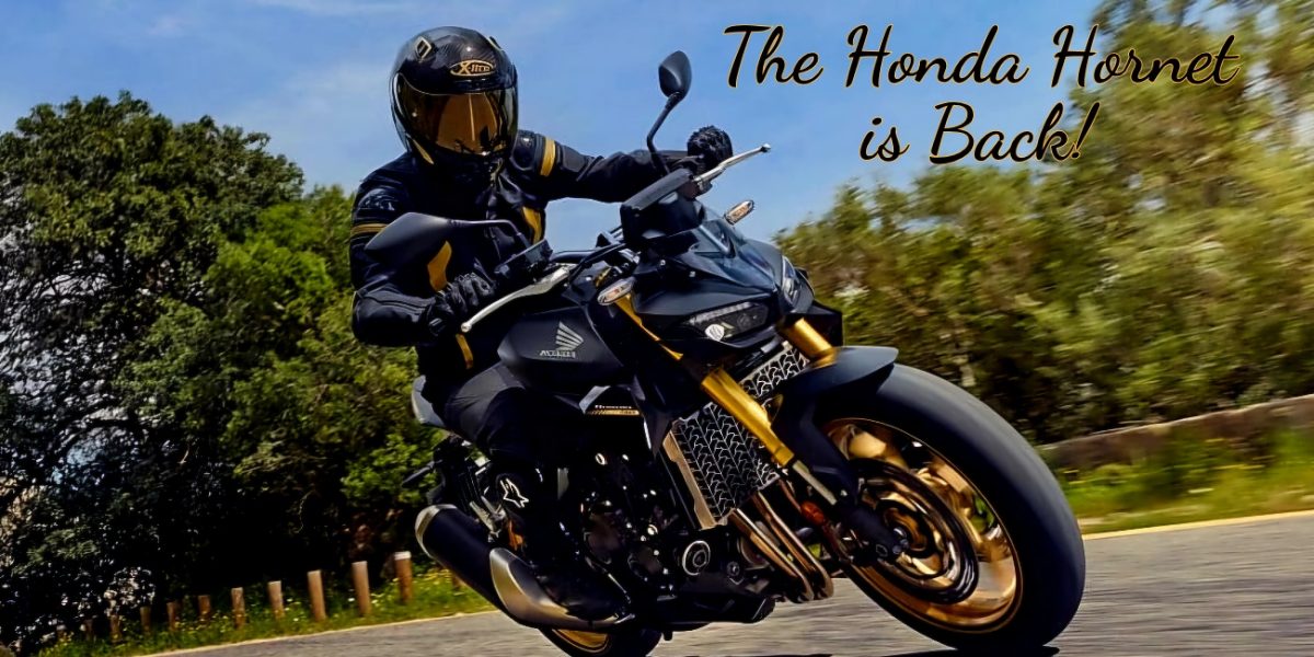 Honda Hornet is back!