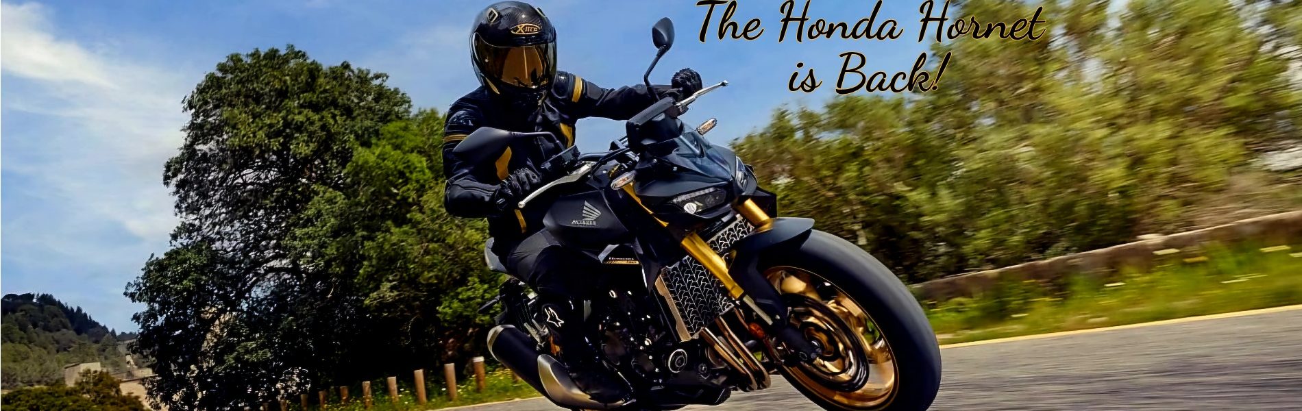Honda Hornet is back!